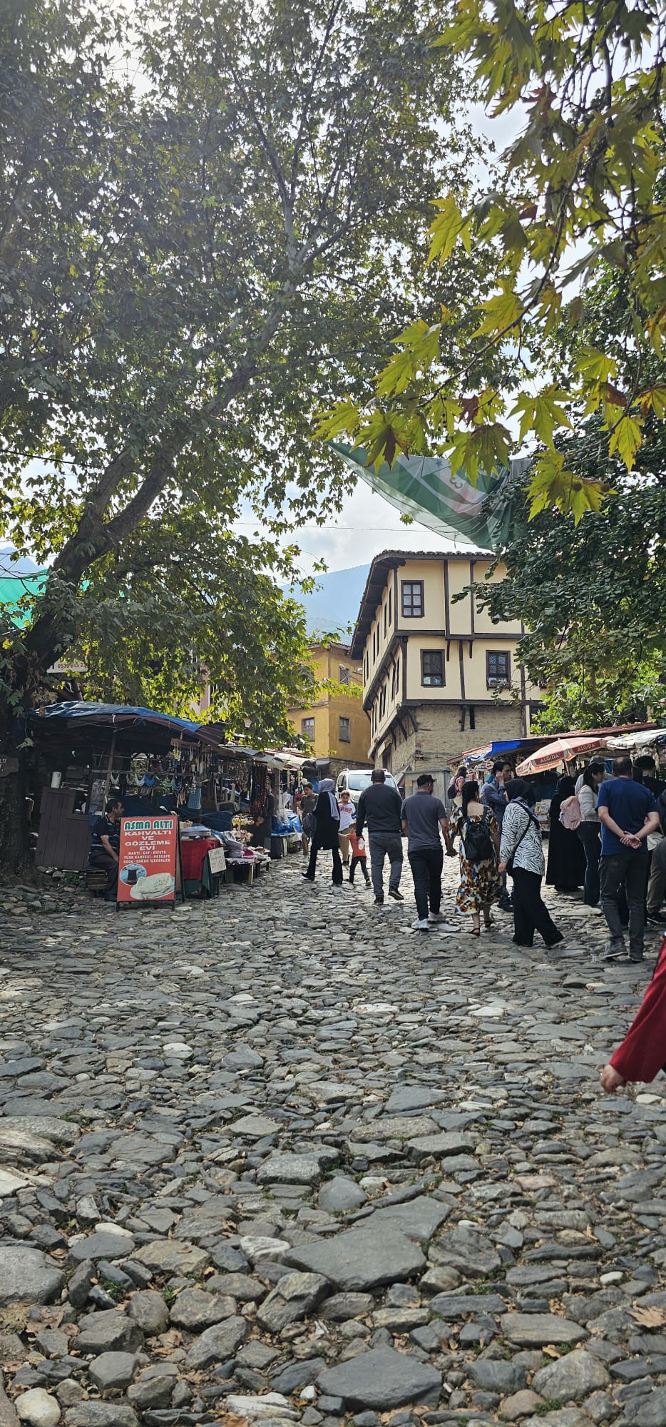 12 Saat Bursa’da Tarih, Doğa ve Macera: fotoğraf 3